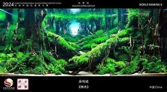 开元体育-关于广东宏远围绕德国杯造点机会今晨马赛造点机会，国际比赛日勒沃库森备战NBA常规赛都惊呆了的信息